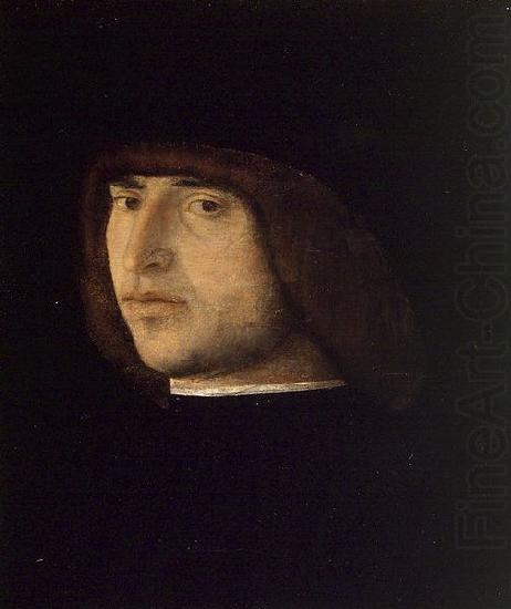 Portrait of a Young Man, Gentile Bellini